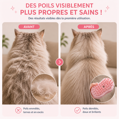 Brosse Patte de Chat : Brosse Vapeur Patte de Chat pour Chien et Chat — PAWLY