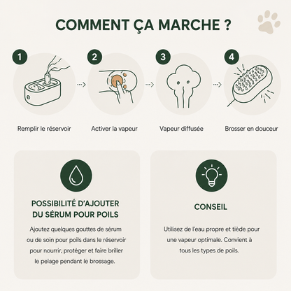 Brosse Patte de Chat : Brosse Vapeur Patte de Chat pour Chien et Chat — PAWLY