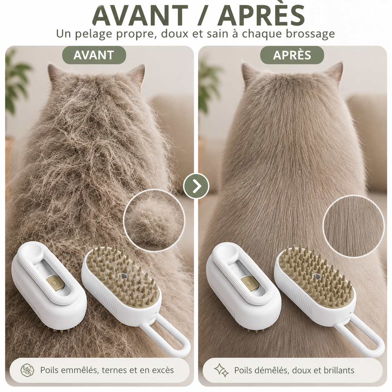 Brosse Classique : Brosse Vapeur Électrique pour Chien et Chat — PAWLY