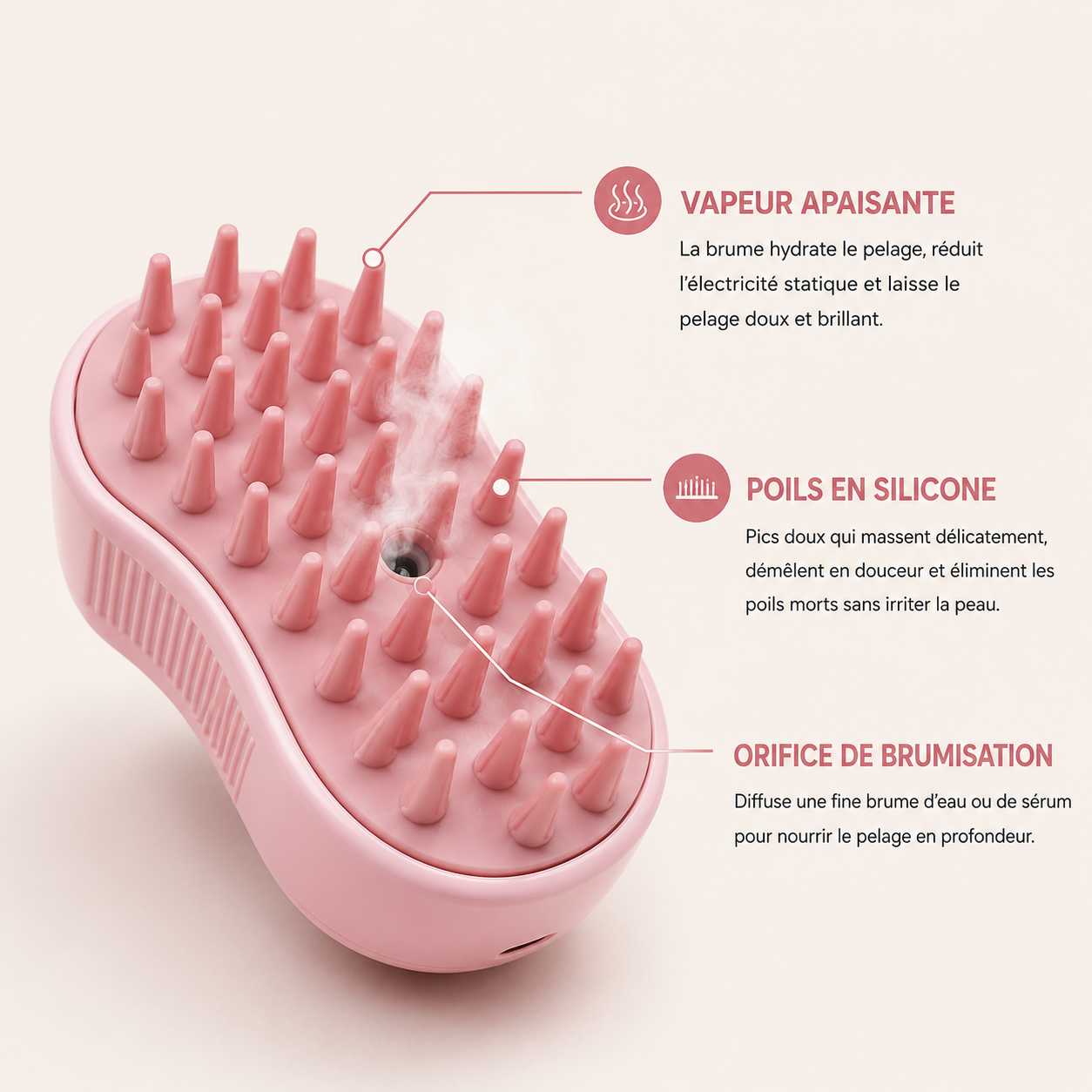 Brosse Patte de Chat : Brosse Vapeur Patte de Chat pour Chien et Chat — PAWLY