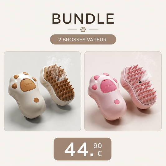 Bundle Duo Patte de Chat — 2 Brosses Vapeur PAWLY