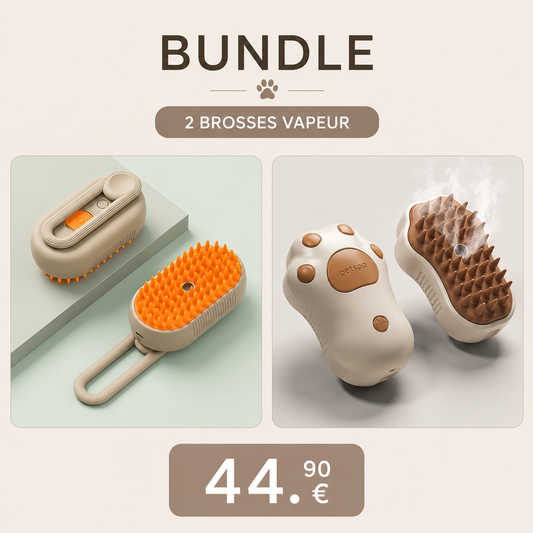 Bundle Mix — Brosse Classique & Patte de Chat PAWLY