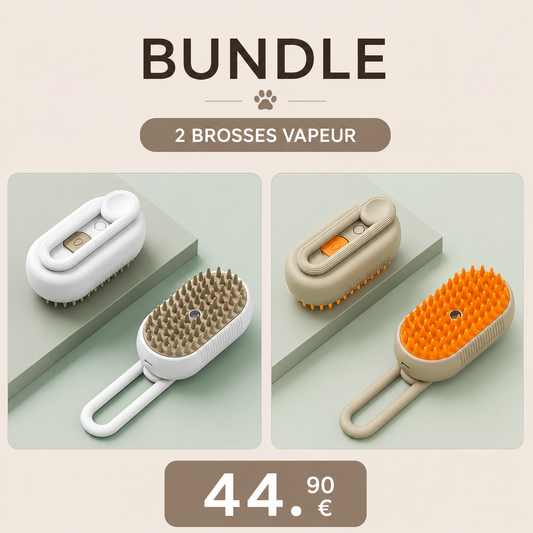 Bundle Duo Brosse Classique — 2 Brosses Vapeur PAWLY